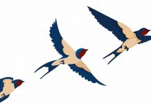 Ελευθερία ή πάω εκεί που αγαπώ