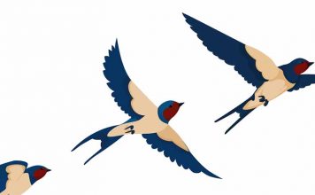 Ελευθερία ή πάω εκεί που αγαπώ