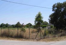 Δήμοι: Φυλάκιση & πρόστιμο για όσους δεν καθαρίζουν οικόπεδα, ακάλυπτους χώρους