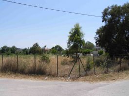 Δήμοι: Φυλάκιση & πρόστιμο για όσους δεν καθαρίζουν οικόπεδα, ακάλυπτους χώρους