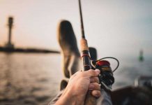 Ο ψαράς, ο ανόητος και ο «πρόεδρος»