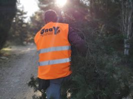 Απομάκρυνση πεσμένων δέντρων από τον ΣΠΑΥ σε δασικούς δρόμους στον Βύρωνα