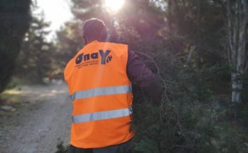 Απομάκρυνση πεσμένων δέντρων από τον ΣΠΑΥ σε δασικούς δρόμους στον Βύρωνα