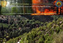 Περιπολία στον Υμηττό με την “Εθελοντική Ομάδα Δασοπροστασίας Βύρωνα”