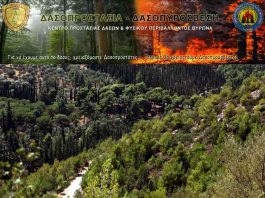 Περιπολία στον Υμηττό με την “Εθελοντική Ομάδα Δασοπροστασίας Βύρωνα”