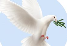 Ειρήνη: Μια καθημερινή ανάγκη!