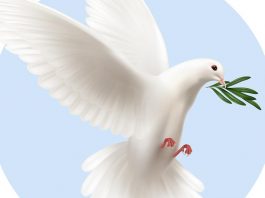 Ειρήνη: Μια καθημερινή ανάγκη!