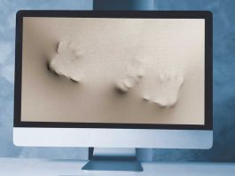 Κοινωνική Αποξένωση