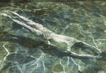 Απλωτές για το αληθινό