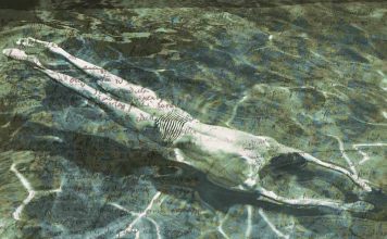 Απλωτές για το αληθινό