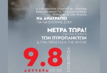 Φωτιές: Συγκέντρωση διαμαρτυρίας τη Δευτέρα 09/08 στο Σύνταγμα