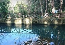 «Ένα βότσαλο στη λίμνη»