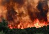 Πυρκαγιές!!!