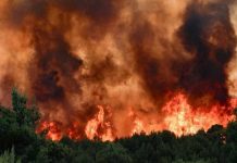 Το προσάναμμα του κέρδους στις δασικές πυρκαγιές