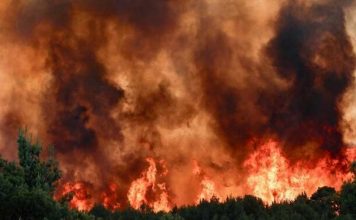 Το προσάναμμα του κέρδους στις δασικές πυρκαγιές