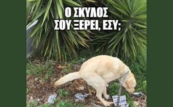 Απάντηση του Κου Γώγου σε δημοσίευμα της ιστοσελίδας ΡΩΓΜΗ