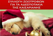 Συλλογή ζωοτροφών για τα αδεσποτάκια της Καισαριανής Κυριακή 19 Δεκεμβρίου 10:00-17:00 στην κεντρική πλατεία