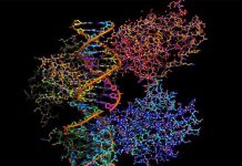 Η αναδίπλωση πρωτεϊνών σημαντικότερη επιστημονική ανακάλυψη του 2021 για την επιθεώρηση «Science»