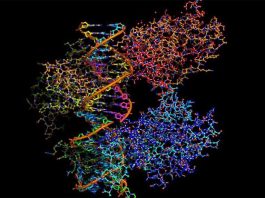 Η αναδίπλωση πρωτεϊνών σημαντικότερη επιστημονική ανακάλυψη του 2021 για την επιθεώρηση «Science»