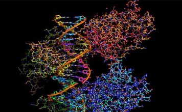 Η αναδίπλωση πρωτεϊνών σημαντικότερη επιστημονική ανακάλυψη του 2021 για την επιθεώρηση «Science»