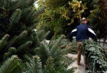 Τι θα κάνει ο Δήμος Βύρωνα για την αποκομιδή των φυσικών ελάτων των Χριστουγέννων;