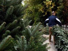 Τι θα κάνει ο Δήμος Βύρωνα για την αποκομιδή των φυσικών ελάτων των Χριστουγέννων;