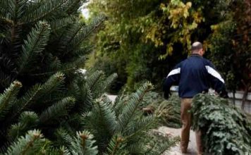 Τι θα κάνει ο Δήμος Βύρωνα για την αποκομιδή των φυσικών ελάτων των Χριστουγέννων;