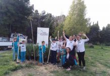 Εορτασμός ημέρας οδηγισμού με δενδροφύτευση