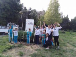 Εορτασμός ημέρας οδηγισμού με δενδροφύτευση