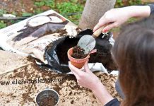 Εκδήλωση στο Ντάνκαν 20/2/2022