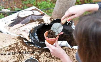 Εκδήλωση στο Ντάνκαν 20/2/2022