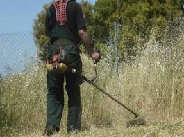 Καθαρισμός οικοπέδων: Πρόστιμο & φυλάκιση για τους αμελείς ιδιοκτήτες