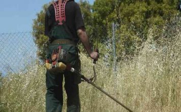 Καθαρισμός οικοπέδων: Πρόστιμο & φυλάκιση για τους αμελείς ιδιοκτήτες