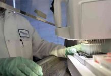 Νόσος Αλτσχάιμερ: Εντοπίστηκαν 75 γενετικοί παράγοντες που αυξάνουν το κίνδυνο εμφάνισης