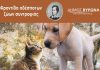 O Δήμος Βύρωνα πραγματοποιεί ένα πρωτοποριακό πρόγραμμα για τα αδέσποτα- Δηλώστε συμμετοχή στο WalkmeOut!