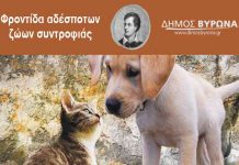 O Δήμος Βύρωνα πραγματοποιεί ένα πρωτοποριακό πρόγραμμα για τα αδέσποτα- Δηλώστε συμμετοχή στο WalkmeOut!