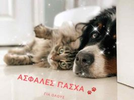 Δήμος Καισαριανής: Προσοχή στα ζώα