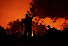 Κάλεσμα διαμαρτυρίας για τις πυρκαγιές την Πέμπτη 7 μμ στο Σύνταγμα