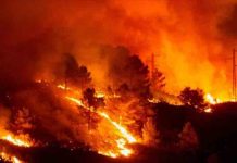 Δήμος Καισαριανής: Ενημέρωση Κοινού για τα μέτρα πρόληψης και άμεσης αντιμετώπισης σε περίπτωση πυρκαγιάς