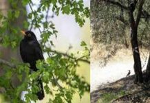 Οι φίλοι μου