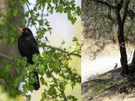 Οι φίλοι μου