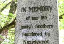 Χαλυβουργείο Salzgitter (Salzgitter Flachstahl)