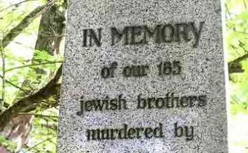 Χαλυβουργείο Salzgitter (Salzgitter Flachstahl)