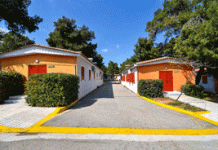 Ζητείται άμεσα συνοδός για κατασκήνωση αμεα