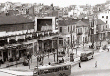 Οι αρκούδες του Παγκρατίου