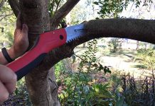 Πως κλαδεύουμε σωστά