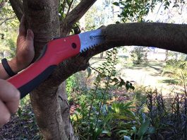 Πως κλαδεύουμε σωστά