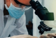 Κύτταρο του ανοσοποιητικού εξοντώνει όλα τα καρκινικά κύτταρα