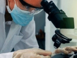 Κύτταρο του ανοσοποιητικού εξοντώνει όλα τα καρκινικά κύτταρα