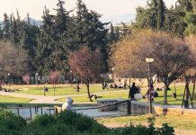 Καισαριανή: οι Μ.Κ.Ο. των σημερινών θεματοφυλάκων της “εμπιστοσύνης των πολιτών”…